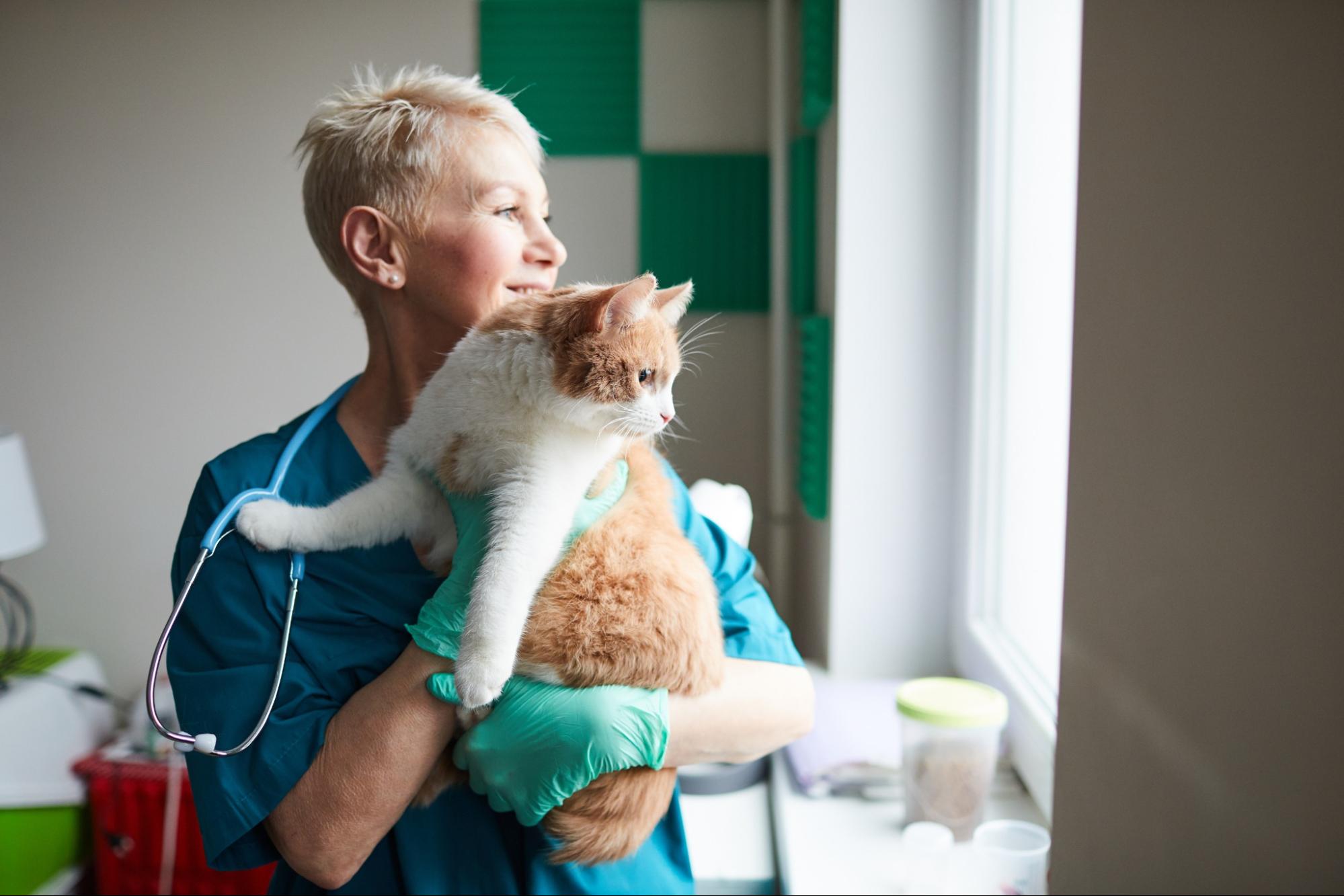 Attracting an Excellent Veterinary Clinic Team