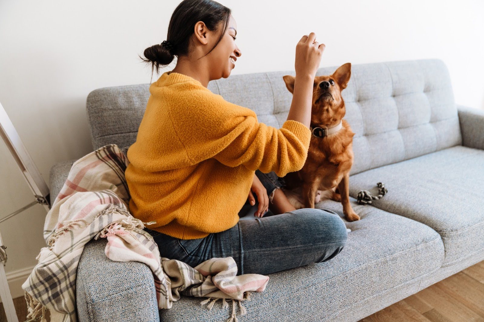 Playing with dog on couch