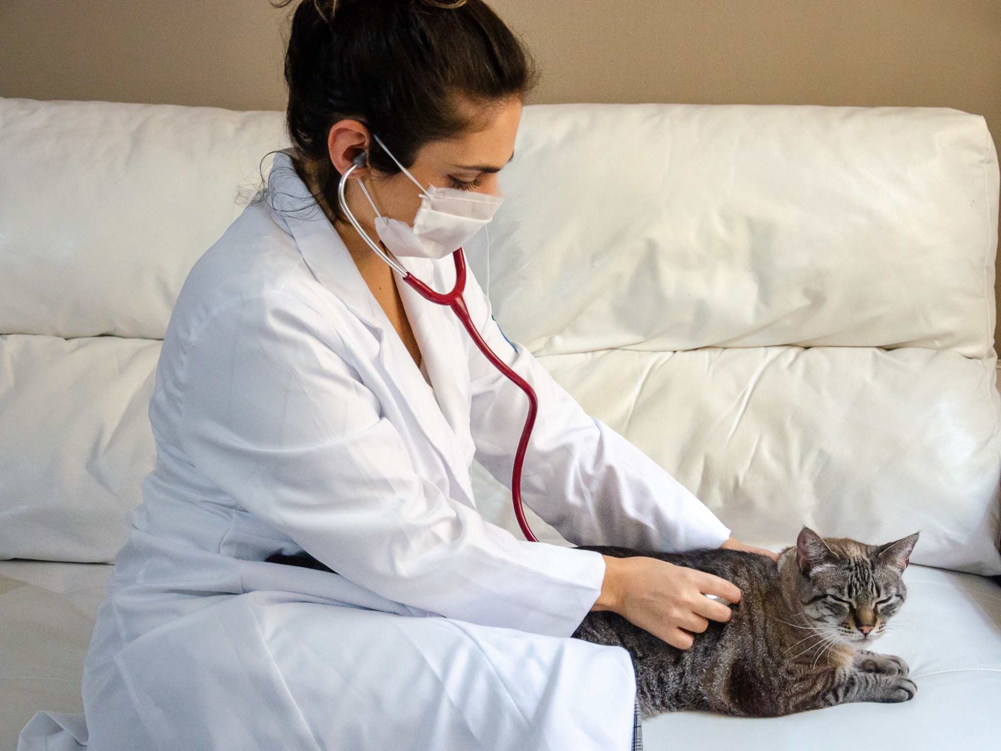 Veterinarian with Cat