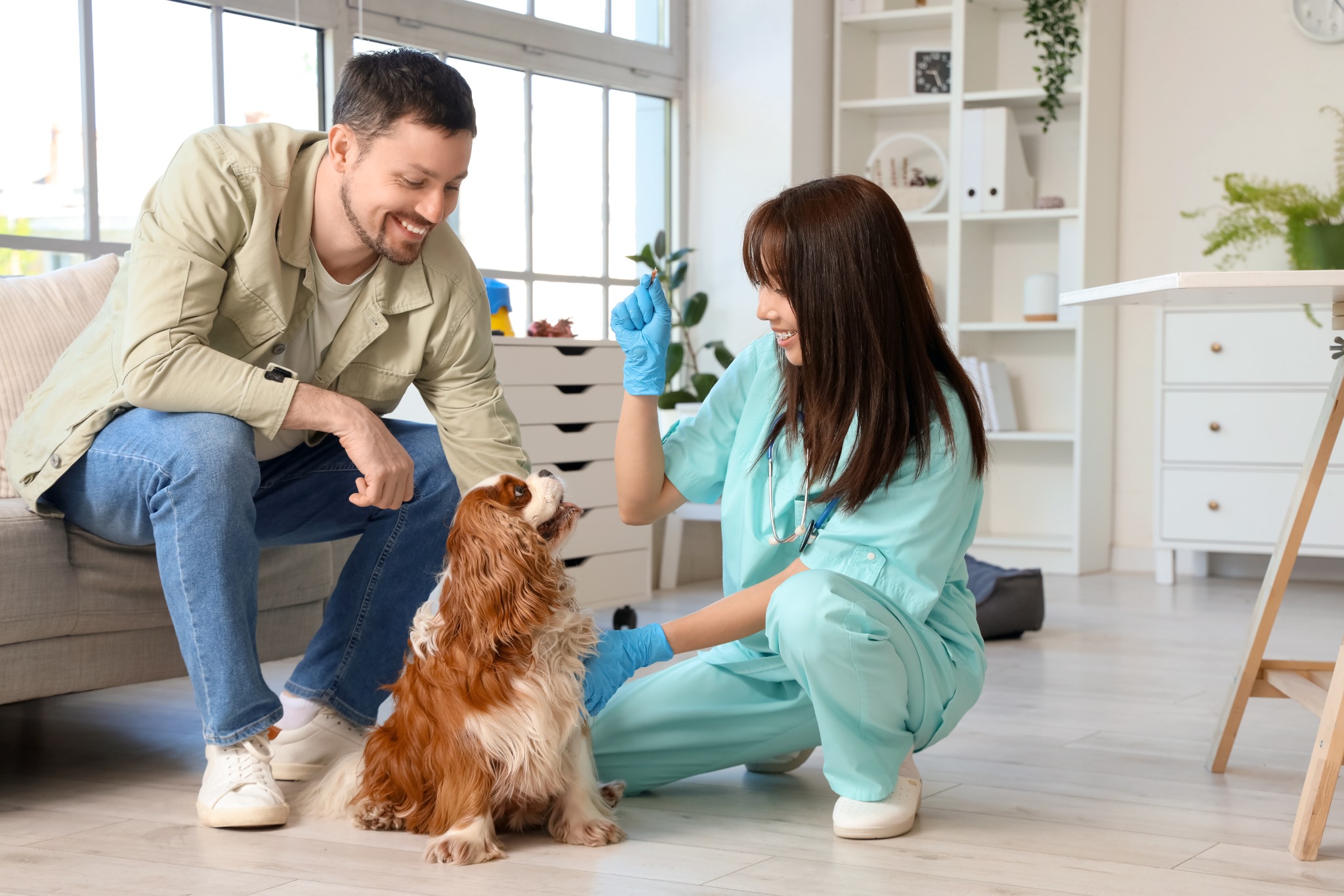 Vet with client and patient