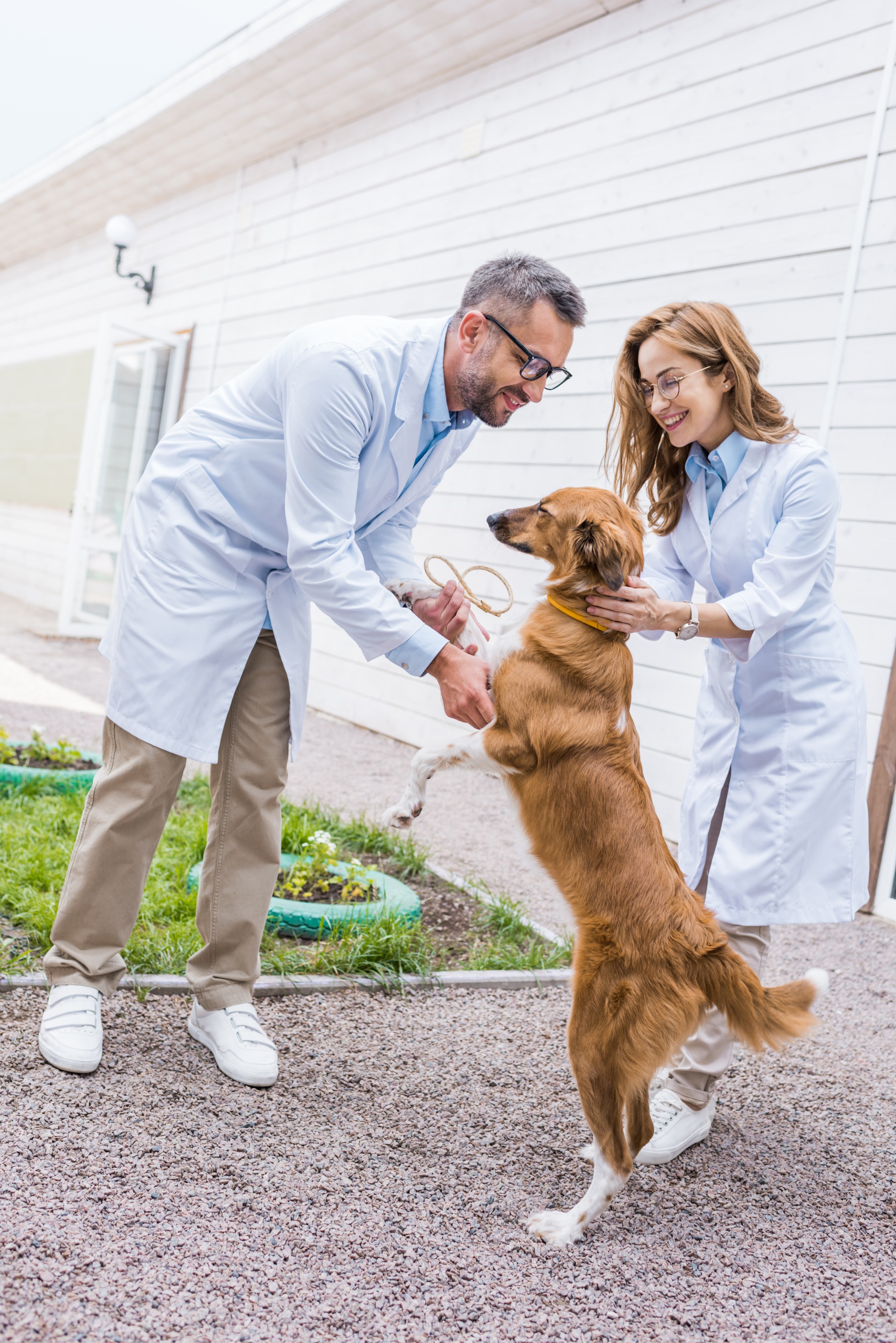 Doctors with dog