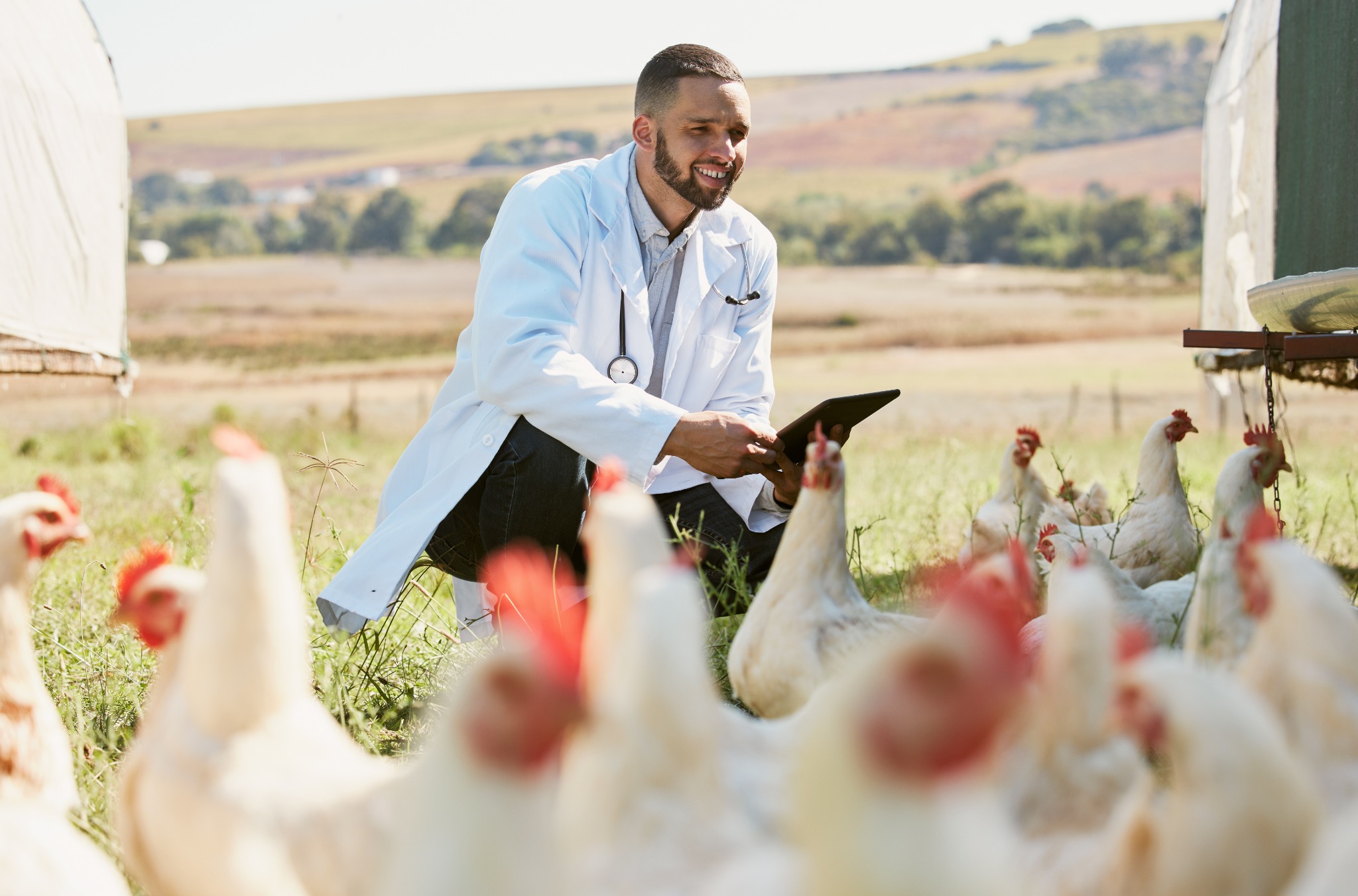 Vet with chickens