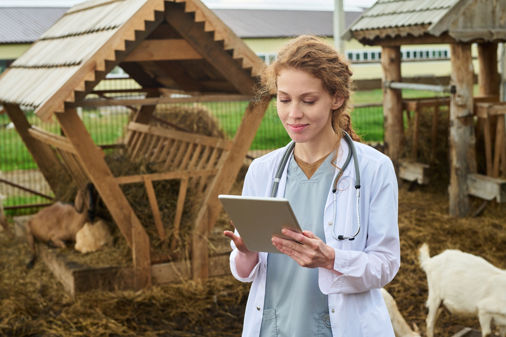 Using Technology To Stay Safe as a Mobile Vet